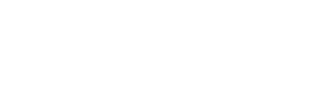 DILS